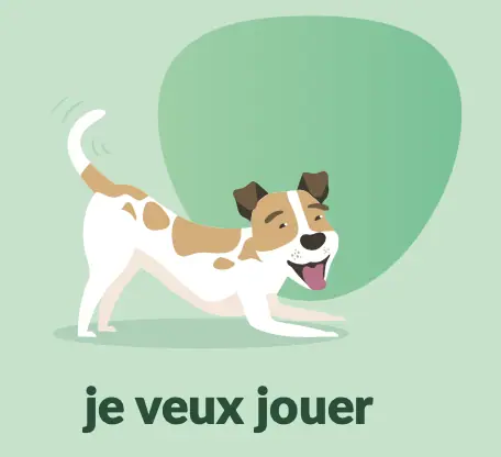 Chien en posture d’invitation au jeu