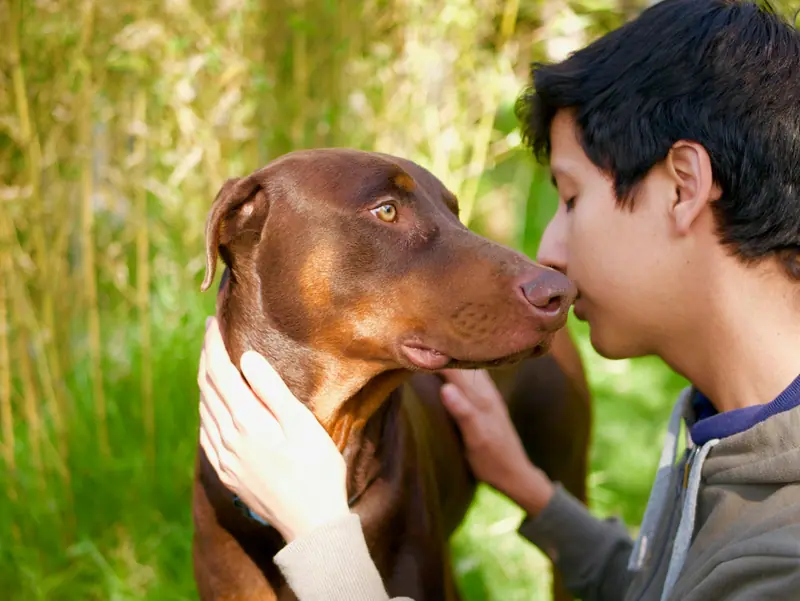 Complicité entre une personne et son chien