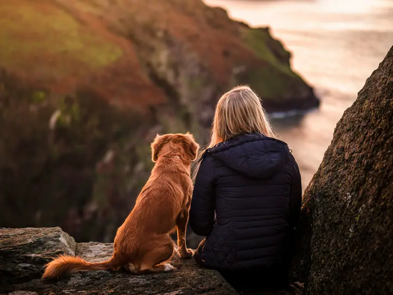Une femme et son chien assis côte à côte face aux montagnes, image de la relation humain-animal