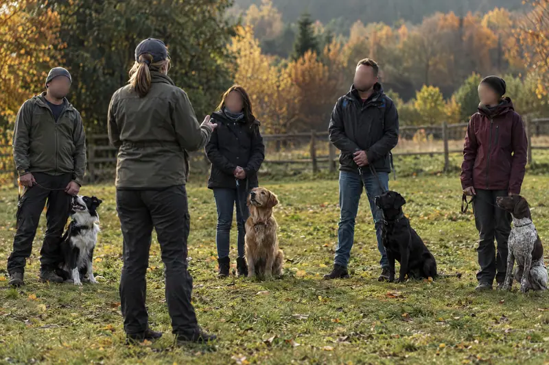 Éducateur canin qui travaille la marche en laisse avec un chien