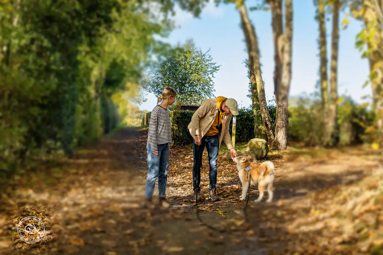 Séance pratique en forêt : un stagiaire présente sa main à un chien sous le regard d’une élève